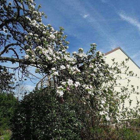 Au Val Des Meuris Bed & Breakfast Taintrux Exterior foto