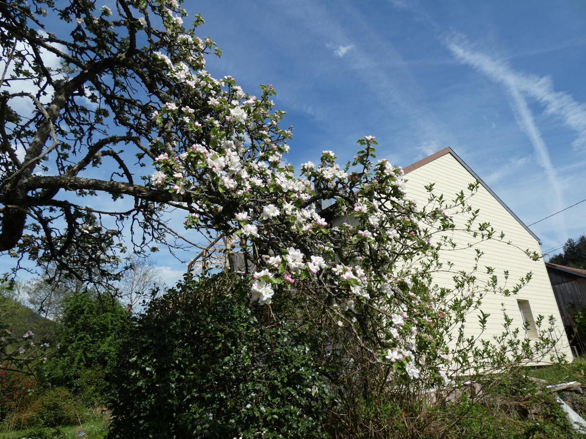 Au Val Des Meuris Bed & Breakfast Taintrux Exterior foto
